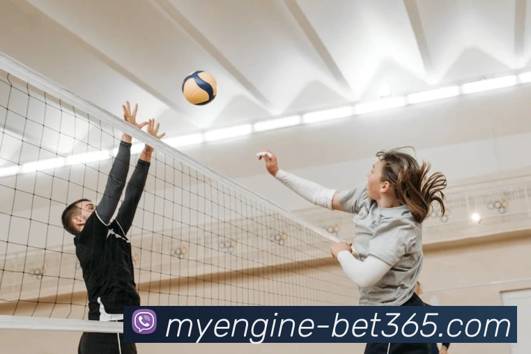 bet365平台生态图